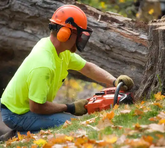 tree services Collinsville